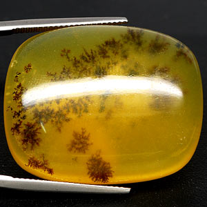 Дендрический опал 73,2 карат