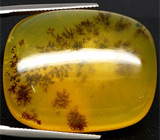 Дендрический опал 73,2 карат 