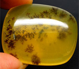 Дендрический опал 73,2 карат 