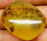 Дендрический опал 73,2 карат 