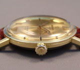 Золотые часы OMEGA Seamaster Золото