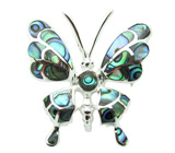 Брошь-кулон с радужным абалоном Серебро 925