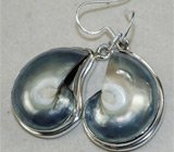 Серьги с раковинами голубого отлива Серебро 925