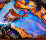 Болдер опал 16,06 карат 