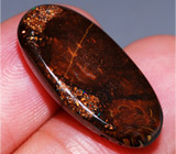 Болдер опал 16,06 карат 