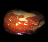 Мексиканский огненный опал 58,98 карат 