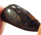 Болдер опал 20,66 карат 