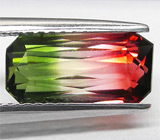 Роскошный арбузный турмалин 2,95 карат 