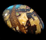 Болдер опал 4,1 карат 