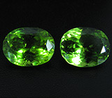 Пара ярких перидотов 8,29 карат 