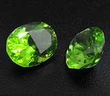 Пара ярких перидотов 8,29 карат 