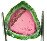 Крупный слайс арбузного турмалина 17,7 карат 