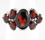 Комплект из коллекции "Spring" с гранатами Серебро 925