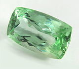 Зеленый кунцит - сподумен (гидденит) 13,84 карат 