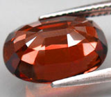 Чистейший оранжевый циркон 9,81 карат 