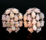 Серьги с белыми solid опалами Серебро 925