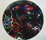 Эксклюзив! Болдер опал 18,27 карат 