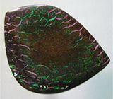 Эксклюзив! Болдер опал 54,86 карат 