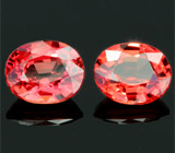 Пара сапфиров padparadscha 1,4 карат 