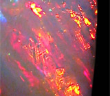 Драгоценный белый опал 1.15 карат 