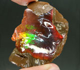 Эксклюзив! "Шоколадный" опал 50,79 карат 