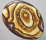 Болдер опал 55,79 карат 