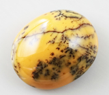 Dendrite Opal (Дендритический опал) 9,36 карат