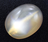 Moonstone cat
