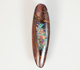 Australian boulder opal (Австралийский болдер опал) 12,58 карата Не указан