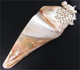 Кулон с перламутром, жемчужиной и сапфиром на шнуре Серебро 925