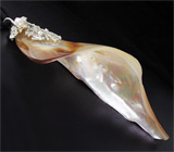 Кулон с перламутром, жемчужиной и сапфиром на шнуре Серебро 925