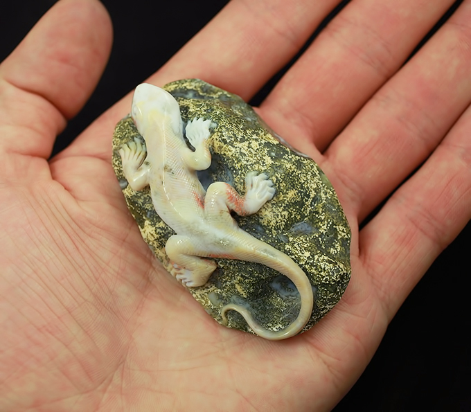 саламандра на камнях хонкай. саламандра на камнях хонкай. ящерица на камне. саламандра на камнях хонкай. саламандра на камне.