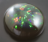 Эксклюзив! Роскошный кристаллический черный опал 10,58 карат 