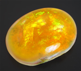 Кристаллический Welo опал 4,18 карат 