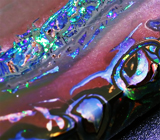 Австралийский болдер опал 32,57 карат 