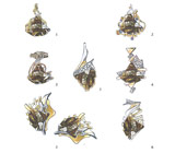 Спецпредложение от мастерской! Болдер опал 32,32 карат + дизайн 