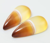 Пара пейзажных агатов 24,74 карат 