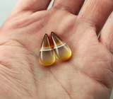 Пара пейзажных агатов 24,74 карат 