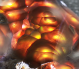 Мексиканский огненный агат 31,63 карат 