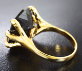 Золотое кольцо с редким нууммитом 14,64 карата Золото