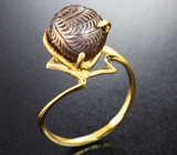 Золотое кольцо с резной жемчужиной Edison 9,45 карата Золото