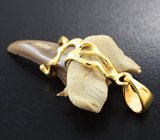 Золотой кулон с ископаемым зубом акулы Jaekelotodus 13,38 карата Золото