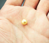 Золотистая морская жемчужина 3,94 карата! Натуральный цвет