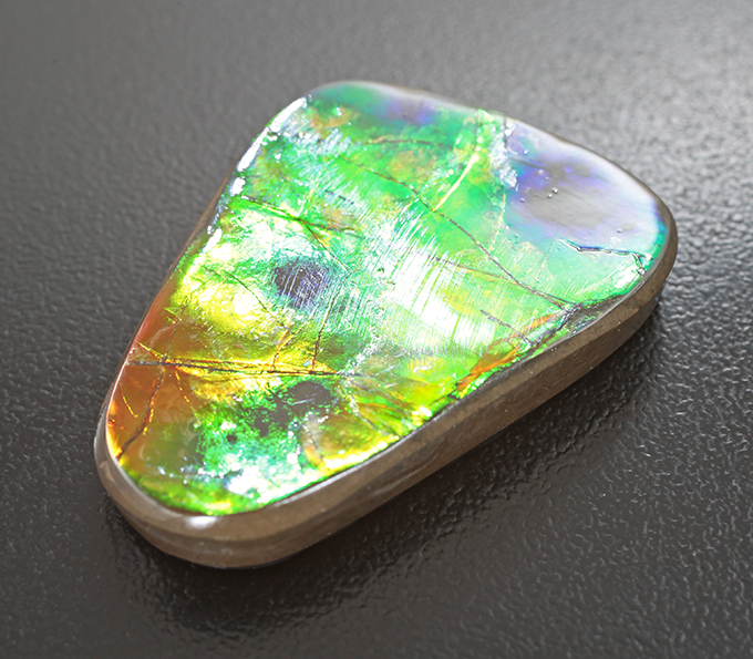 Крупный! 4-цветный аммолит аммонита 53,3 карата купить в интернет ...