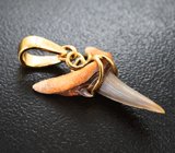 Золотой кулон с ископаемым зубом акулы Jaekelotodus 2,71 карата