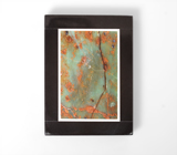 Яшма с фукситом в кальците 64,4 карата