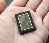 Яшма с фукситом в кальците 64,4 карата