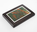 Яшма с фукситом в кальците 58,59 карата