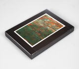 Яшма с фукситом в кальците 58,78 карата