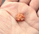 Резной солнечный камень 23,46 карата